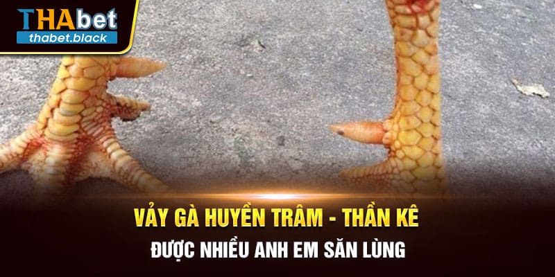 Vảy Gà Huyền Trâm - Thần Kê Được Nhiều Anh Em Săn Lùng