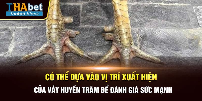 Có thể dựa vào vị trí xuất hiện của vảy Huyền Trâm để đánh giá sức mạnh