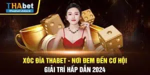 Xóc Đĩa Thabet - Nơi Đem Đến Cơ Hội Giải Trí Hấp Dẫn 2024