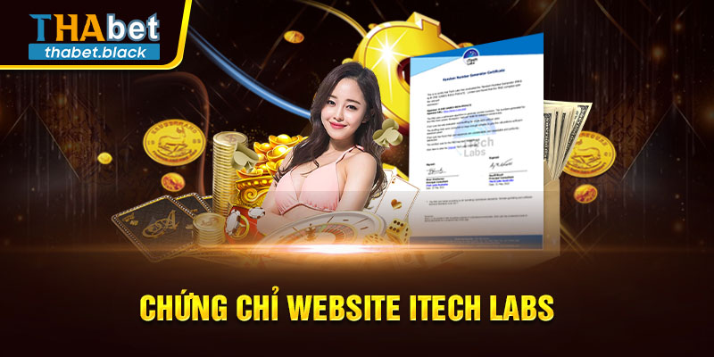 Chứng chỉ website iTech Labs