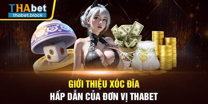 Giới thiệu Xóc Đĩa hấp dẫn của đơn vị Thabet