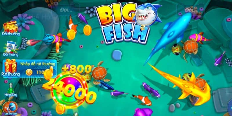 Siêu Cá H5 - Cổng Game Đổi Thưởng Lớn Hấp Dẫn Khó Cưỡng 